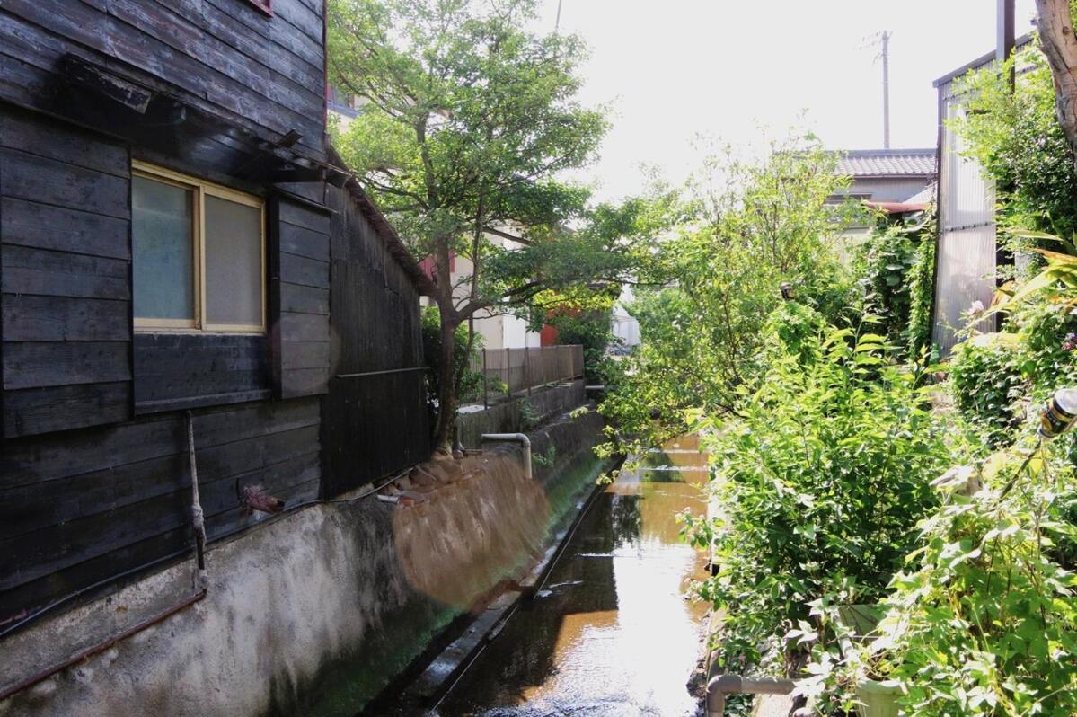 宿たぬきのねどこ Guesthouse Tanuki Tokoname Zewnętrze zdjęcie